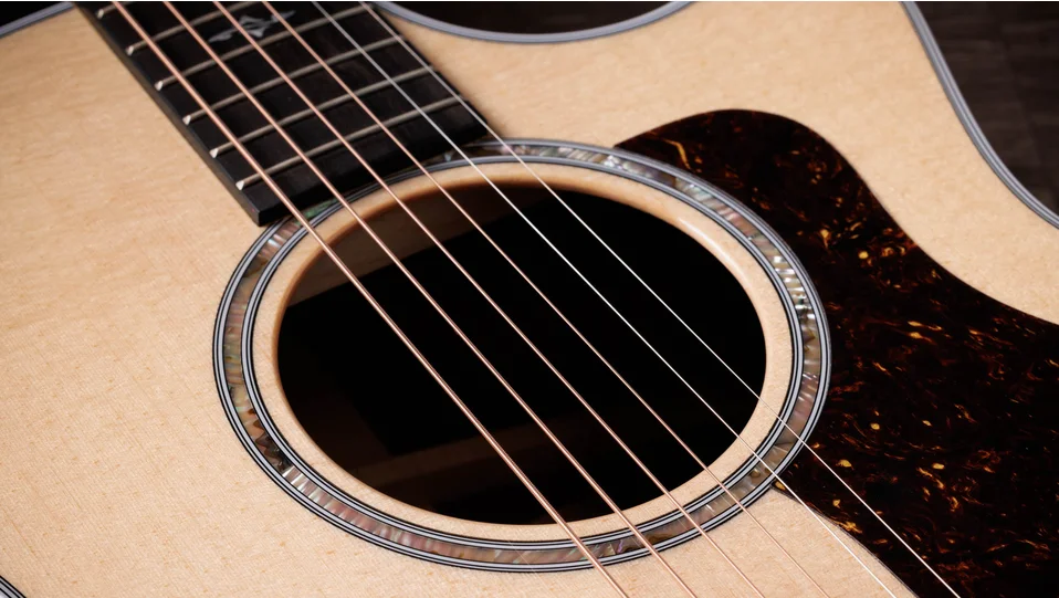 414ceIndian Rosewoodアコースティックエレクトリックギター | Taylor